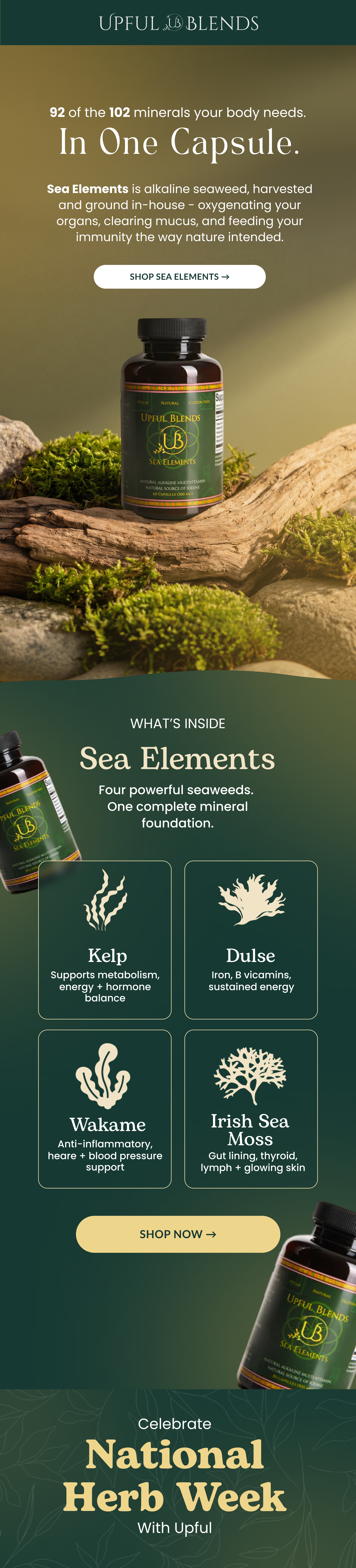 Caechet email — Sea Elements